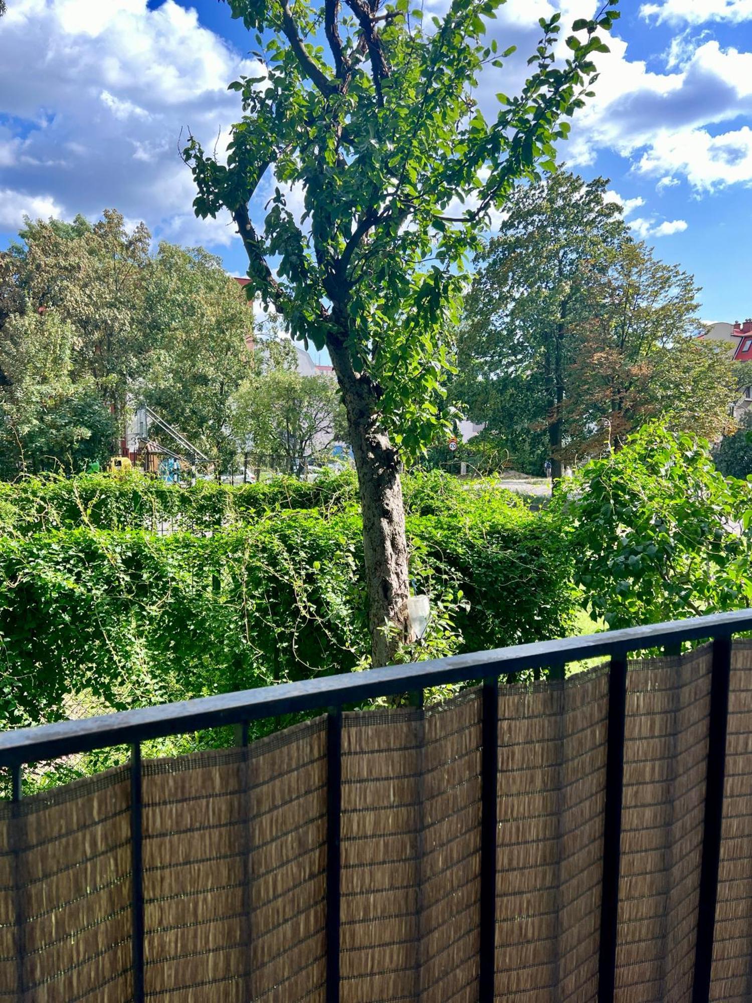 M&S Lux Apartments Kochanowskiego Łódź Dış mekan fotoğraf