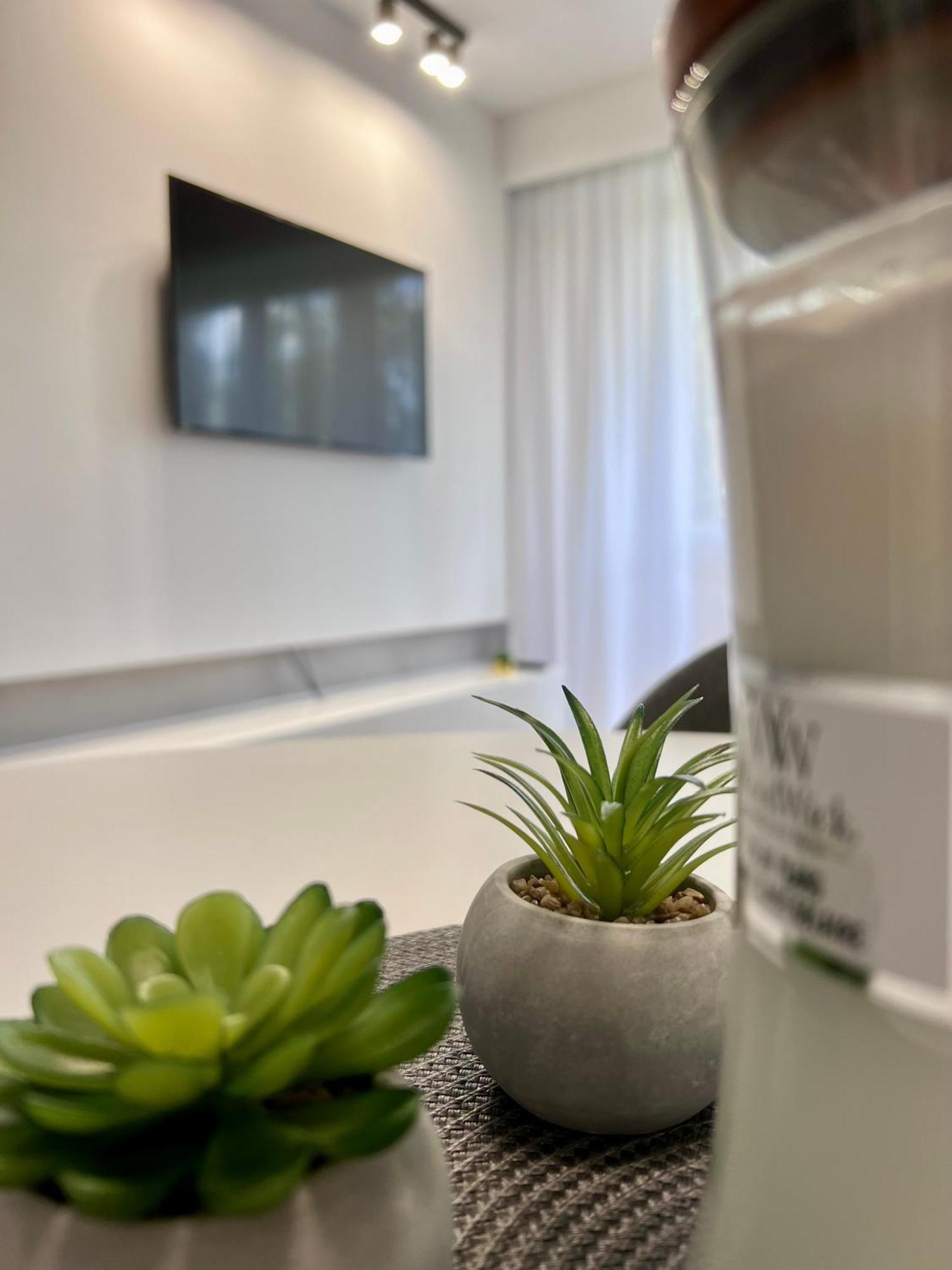 M&S Lux Apartments Kochanowskiego Łódź Dış mekan fotoğraf